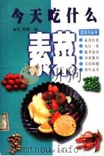 今天吃什么素菜（1999 PDF版）