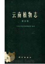 云南植物志 第5卷 种子植物 1991 PDF电子版封面 703001801X 中国科学院昆明植物研究所编著