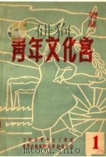 青年文化宫 1 1951 PDF电子版封面 上海市青年文工圑编