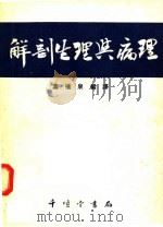 解剖生理与病理 1951 PDF电子版封面 叶橘泉编译