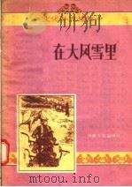 在大风雪里 1956 PDF电子版封面 T10105·61 李准原著