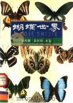 蝴蝶世界（1996 PDF版）