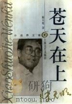 苍天在上 1995 PDF电子版封面 7532114120 陆天明著