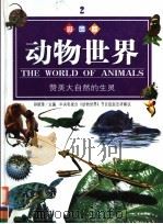 动物世界  赞美大自然的生灵（ PDF版）