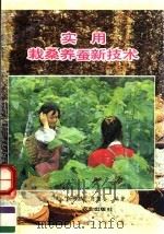 实用栽桑养蚕新技术（1992 PDF版）