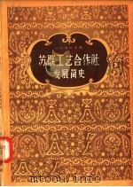 苏联工艺合作社发展简史 1957 PDF电子版封面 4005·264 (苏)普·瓦·叶夫谢也夫著