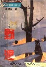 野渡 1994 PDF电子版封面 7536328168 肖建国著