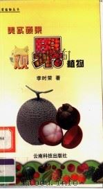 美实硕果-观果植物 1999 PDF电子版封面 7541613444 李时荣著