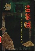 盗墓贼 中国历代王侯陵墓之劫 1999 PDF电子版封面 7531013207 许志龙等著