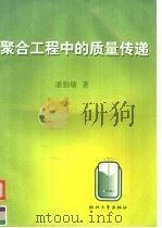 聚合工程中的质量传递 1998 PDF电子版封面 7308020002 潘勤敏著