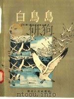 白鸟岛 1956 PDF电子版封面 R10106·29 (苏)格·斯克烈比茨基著;明知译