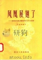 凤凰展翅了:新洲县风凰乡整风中的几个小故事 1958 PDF电子版封面 T4106·104 于星周编