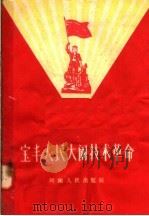 宝丰人民大闹技术革命 1958 PDF电子版封面 T15105·40 中共宝丰县委员会办公室编