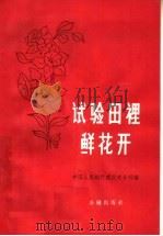试验田里鲜花开 武汉市分行各级领导种试验田的初步体会 1958 PDF电子版封面 4058·42 中国人民银行武汉市分行编