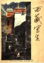 西藏写生 1982 PDF电子版封面 8027·8111