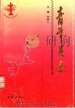 青年英杰 1995 PDF电子版封面 7537916667 钟树人主编