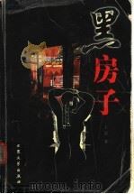 黑房子 1999 PDF电子版封面 7800943720 王洋著