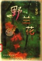 野兰花 1995 PDF电子版封面 753870938X 文夕著