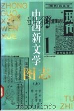 中国新文学图志 上 1996 PDF电子版封面 7020022839 杨义主笔(日)中井政喜,张中良著
