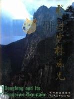 登封少林风光 1991.08 PDF电子版封面 7503204508 中共登封县委,登封县人民政府编