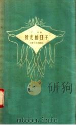 发光的日子 1958 PDF电子版封面 10072·233 丁力著