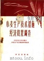 小麦生产技术措施经济效果调查 1959 PDF电子版封面 4144·114 北京农业大学农经系农业生产技术经济研究组著