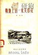 战地上的一束芙蓉花 1955 PDF电子版封面 280·787 齐克著