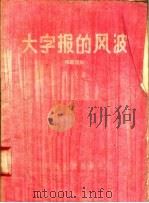 大字报的风波 独幕话剧 1958 PDF电子版封面 T10036·125 范凡著