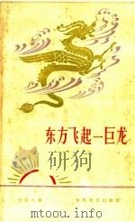 东方飞起一巨龙（1958 PDF版）