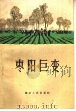 棘阳巨变 1960 PDF电子版封面 10106·403 湖北人民出版社编