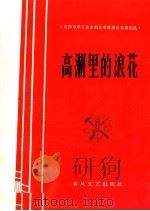 高潮里的浪花（1965 PDF版）