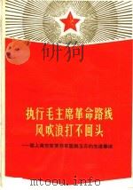 执行毛主席革命路线风吹浪打不回头:驻上海空军某部军医韩玉芬的先进事迹 1971 PDF电子版封面 3·1·104 上海人民出版社编