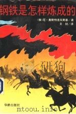 钢铁是怎样炼成的 1995 PDF电子版封面 7800825191 (俄)尼·奥斯特洛夫斯基著;文剑译