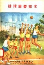 排球简要技术 1958 PDF电子版封面 T7015·688 人民体育出版社编