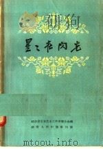 星星在闪光   1957  PDF电子版封面  10109·106  湖南省文学艺术工作者联合会编 