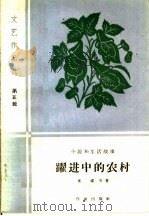跃进中的农村 1959 PDF电子版封面 10020·1345 康濯等著