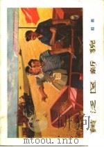 黄泛区新貌  组画（1973 PDF版）