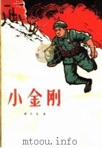 小金刚 1963 PDF电子版封面 R10·125 缪天民著