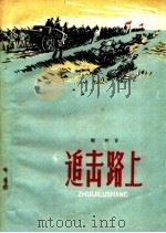 追击路上 1956 PDF电子版封面 谢树著