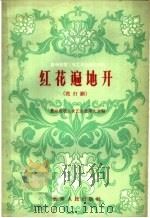 红花遍地开  花灯剧（1960 PDF版）