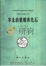 华北的狼鳍鱼化石 1963 PDF电子版封面 13031·1761 刘宪亭等著