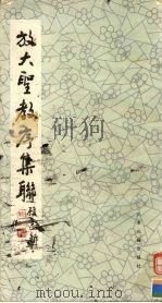 放大圣教序集联 上 1988 PDF电子版封面 7805040818 (晋)王羲之书;顾志新集
