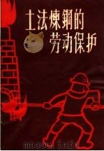 土法炼钢的劳动保护 1958 PDF电子版封面 T14119·721 上海市职业病防治所编