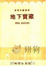 地下宝藏 1958 PDF电子版封面 T13038·275 (苏)布勃列尼科夫(Х.Д.Бублейников)著;方景