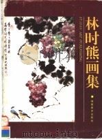 林时熊画集 1995 PDF电子版封面 7539303026 林时熊绘
