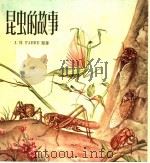 昆虫的故事（1956 PDF版）