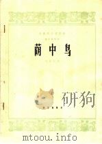 民族器乐创作选  荫中鸟  笛子独奏曲（1965 PDF版）