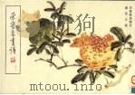 荣宝斋画谱  98  写意花鸟部分（1994 PDF版）