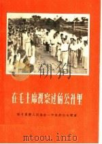在毛主席视察过的公社里 记七里营人民公社一年来的巨大发展 1959 PDF电子版封面 T1015·438 河南人民出版社编