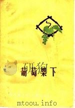 葡萄架下 1960 PDF电子版封面 T10105·463 本社编